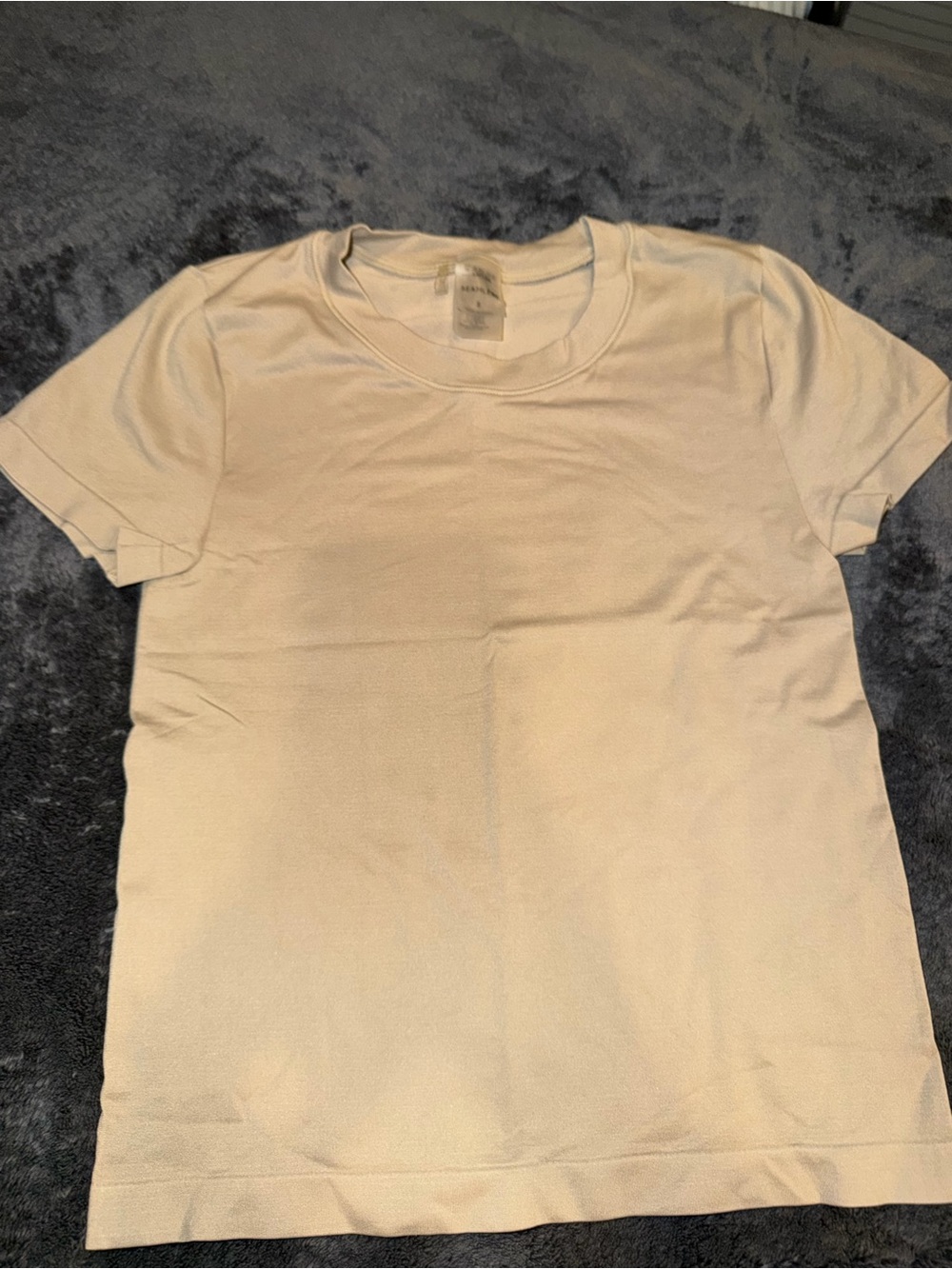 Aritzia Short Sleeve Crew in Beige